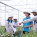 Yara Việt Nam chuyển đổi toàn diện để phát triển bền vững nông nghiệp Việt - 1