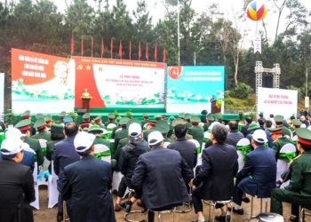 Panasonic đồng hành tổ chức lễ phát động Tết trồng cây - 1