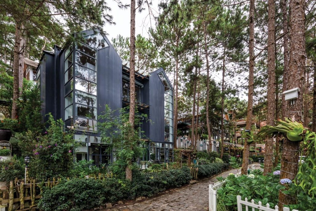 Bồ Câu House - Chiếc tổ giữa rừng thông