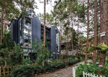 Bồ Câu House - Chiếc tổ giữa rừng thông