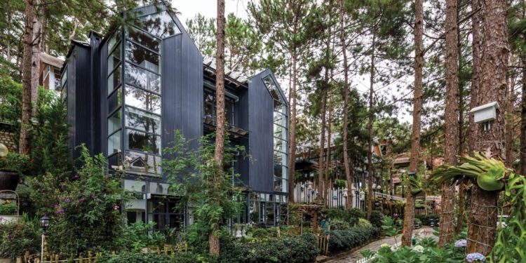 Bồ Câu House - Chiếc tổ giữa rừng thông