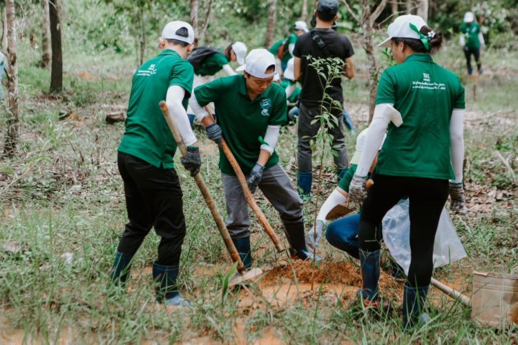 Tập đoàn Nestlé được xếp hạng Top 3 doanh nghiệp cam kết và hành động mạnh mẽ để ngăn ngừa các nguy cơ phá rừng