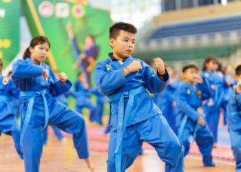 Giải Vovinam Việt Võ Đạo Cúp Nestlé MILO 2023