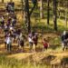 Giải chạy bộ địa hình lớn nhất khu vực phía Nam lần thứ 5 của DaLat Ultra Trail - 9