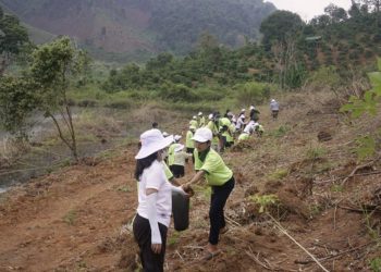 'Cộng đồng bầu trời bên trong' tổ chức trồng 7.000 cây thông tại tỉnh Gia Lai - 1