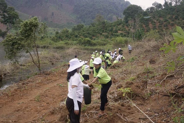'Cộng đồng bầu trời bên trong' tổ chức trồng 7.000 cây thông tại tỉnh Gia Lai - 1