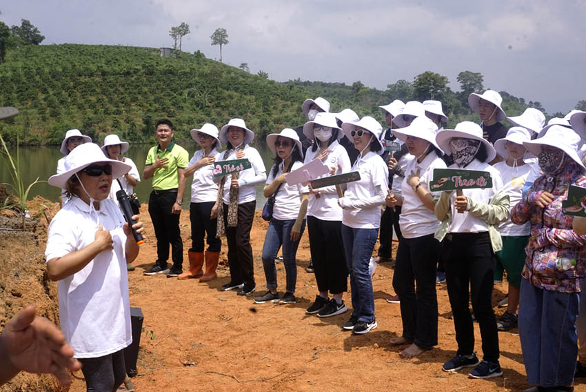 'Cộng đồng bầu trời bên trong' tổ chức trồng 7.000 cây thông tại tỉnh Gia Lai - 2