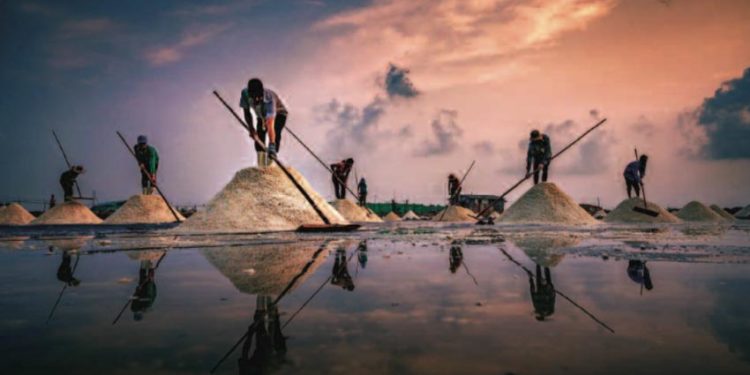 Triển lãm 'Tháng Nhiếp Ảnh Việt Nam' tại Tokyo, Nhật Bản - 10