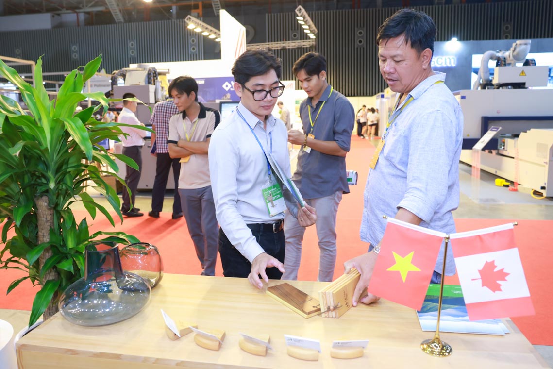 Gỗ mềm Canada: thêm lựa chọn nguồn cung bền vững cho ngành gỗ Việt - 5