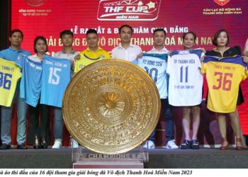 Giải bóng đá phong trào Vô địch Thanh Hoá Miền Nam lần thứ 10 - 3