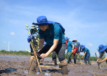 AQUA Việt Nam hỗ trợ trồng rừng ngập mặn ở Sóc Trăng vì môi trường bền vững