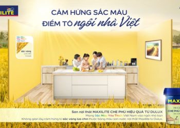 Sơn nhà cuối năm: Đi tìm màu sắc giúp không gian sống thêm nổi bật