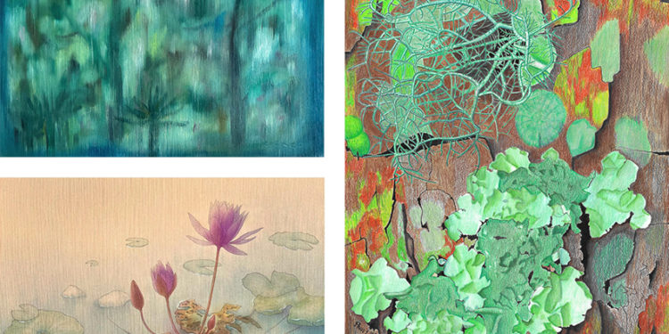 Triển lãm ‘Sinh Cảnh’ và Câu chuyện thị giác mở rộng