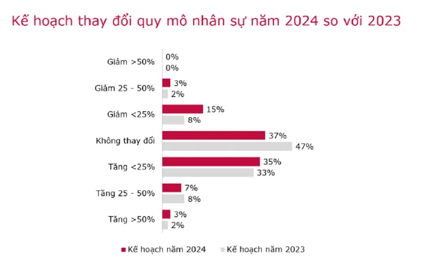 Thị trường lao động 2024: Lương và cơ hội tại Việt Nam - 1