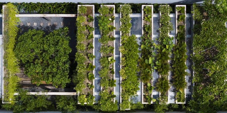 'Văn phòng xanh' cho tương lai bền vững