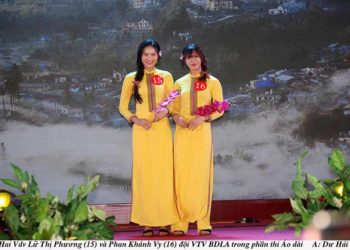 Sắc màu rực rỡ với chiếc áo dài Việt Nam - 16