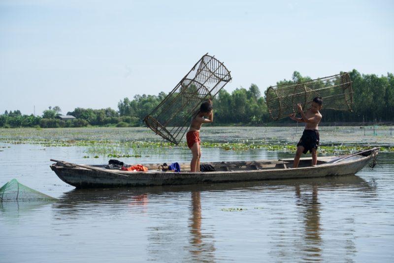 mùa hè của trẻ miền quê