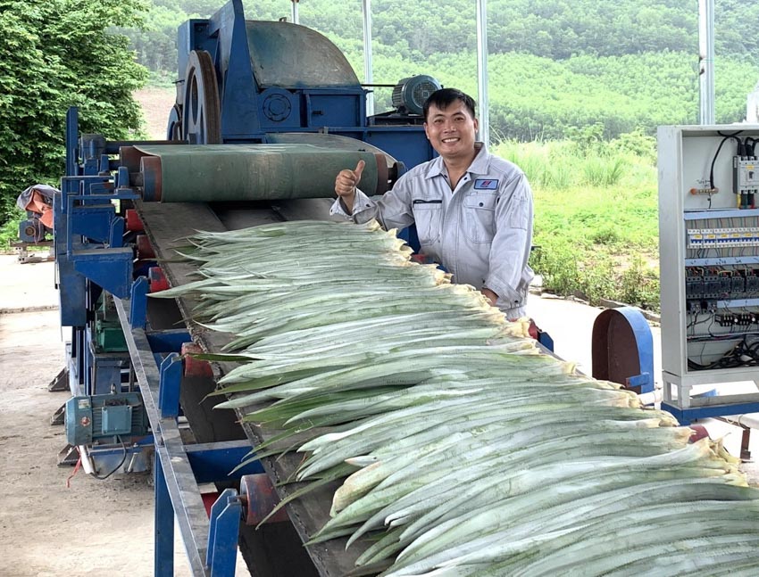 Lần đầu tiên Việt Nam thành công sản xuất đại trà vải sinh thái từ lá dứa - 2