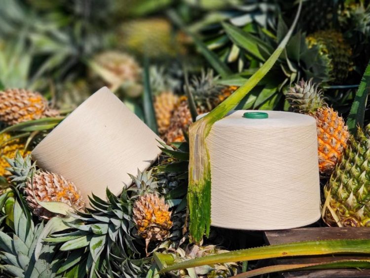 Lần đầu tiên Việt Nam thành công sản xuất đại trà vải sinh thái từ lá dứa - 4