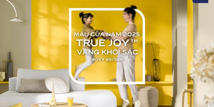 Vàng Khởi Sắc – Màu của Năm 2025: Bứt phá khỏi vùng an toàn - 4