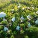 Panorama Glamping giành giải thưởng World Luxury Travel Awards 2024 - 3