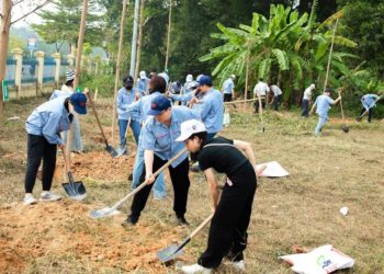 Hành trình một tỷ cây xanh: Toyota Việt Nam vì môi trường bền vững