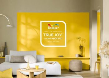 Dự án sáng tạo 'Tuyên Ngôn Của Niềm Vui': Vẽ không gian sống bằng màu hạnh phúc