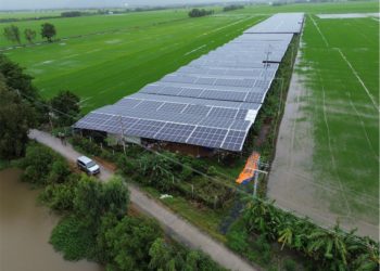 Mô hình trồng nấm ở xã Tà Đảnh (Tri Tôn, An Giang)