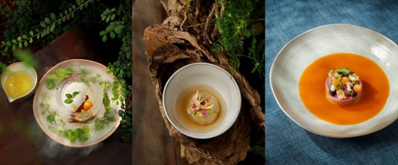 Thực đơn Hum Signature tại Hum Café