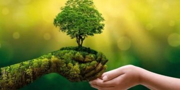 Báo cáo Kinh tế Xanh Đông Nam Á 2025: Đổi mới hệ thống để tăng trưởng bền vững và giảm phát thải - 2