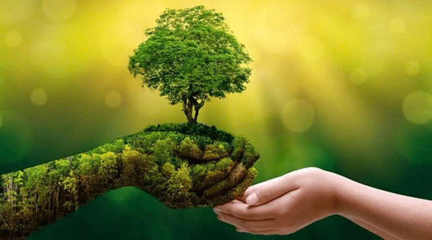 Báo cáo Kinh tế Xanh Đông Nam Á 2025: Đổi mới hệ thống để tăng trưởng bền vững và giảm phát thải - 2