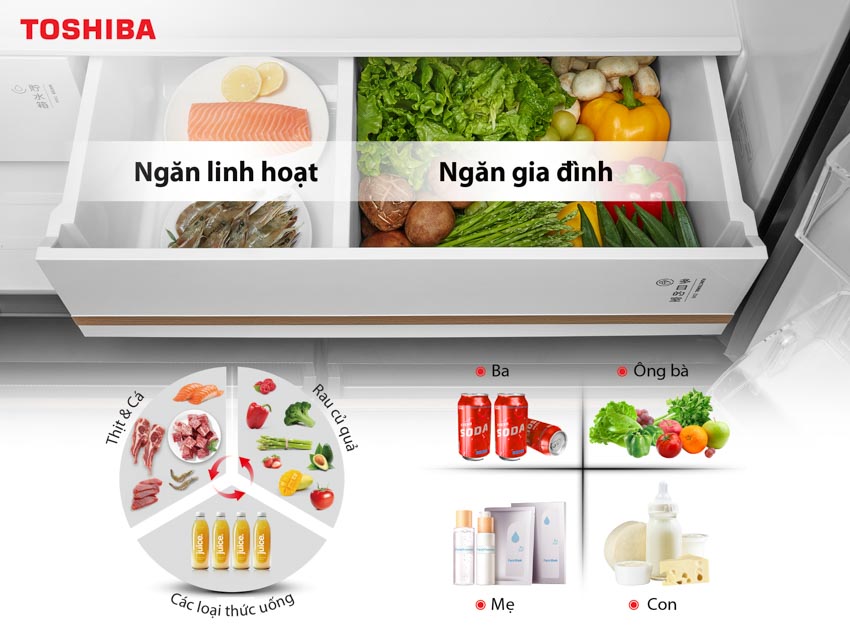 Toshiba ra mắt Siêu tủ lạnh NaturePURE 711L thấu hiểu gia đình Việt - 4