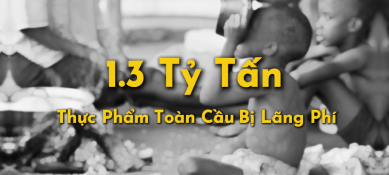 1.3 tỷ tấn thực phẩm lãng phí mỗi năm