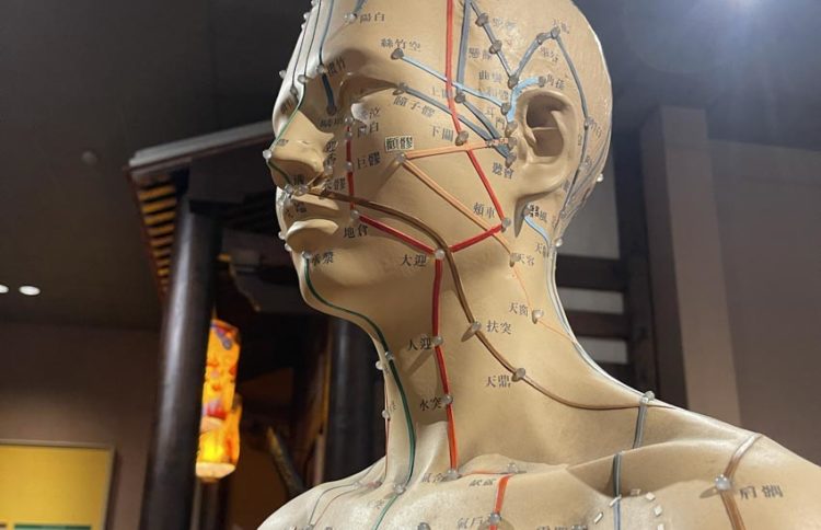 Châm cứu xuyên thấu cơn đau: Khoa học phía sau kim châm cổ truyền - 3