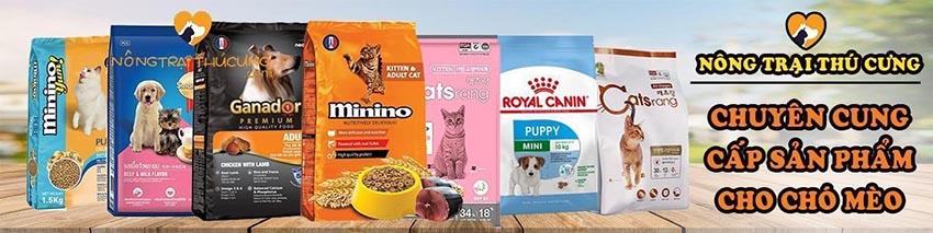 Chăm sóc thú cưng từ trái tim, chinh phục khách hàng bằng uy tín: Câu chuyện của “Nông trại thú cưng” trên Lazada - 2