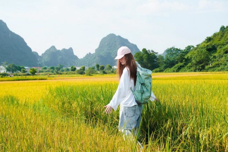 ‘Quảng Bình - Đến để yêu’: Hồ Ngọc Hà quảng bá du lịch Quảng Bình kể chuyện thiên nhiên đầy kỳ vĩ - 2