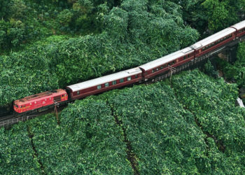 Khoang tàu sang trọng The Vietage với cửa sổ lớn nhìn ra cánh đồng miền Trung Việt Nam