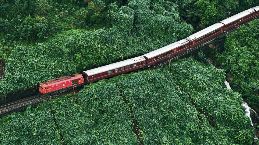 Khoang tàu sang trọng The Vietage với cửa sổ lớn nhìn ra cánh đồng miền Trung Việt Nam