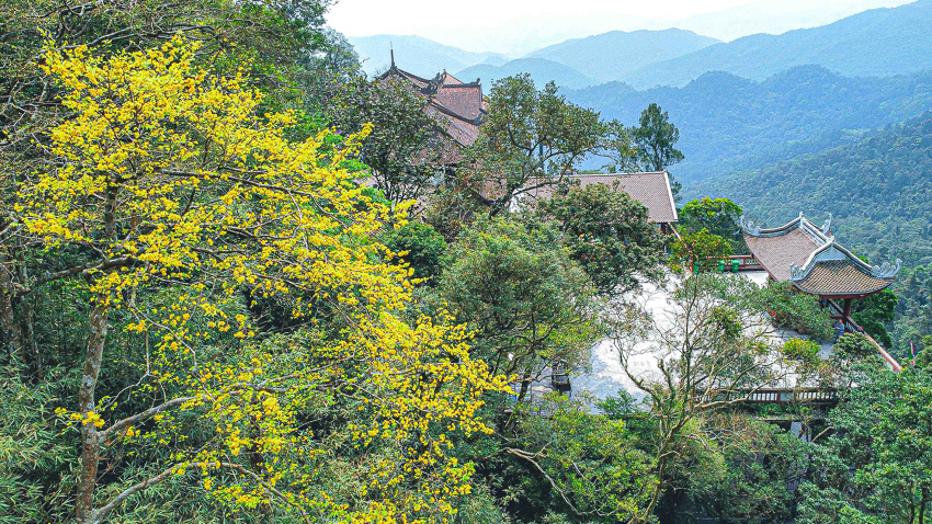 Lễ hội Yên Tử giữa biển mây, người hành hương leo núi trong làn khói nhang mờ ảo – tượng trưng cho hành trình trở về tâm linh Việt.