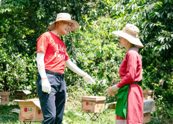 100 nhà nuôi ong mật được trao tặng góp phần tạo sinh kế bền vững cho người dân.