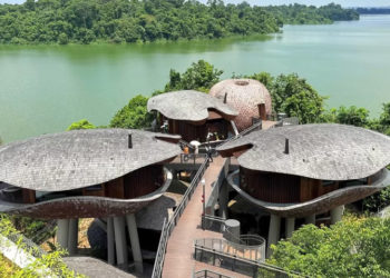 Mandai Rainforest Resort by Banyan Tree: Nghỉ dưỡng trong vòng tay nguyên sơ của rừng già Singapore
