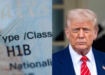 Mỹ hồi sinh kế hoạch siết visa H-1B: Lao động nước ngoài sẽ gặp khó?