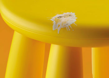 Khi phân chim cũng thành một phần ký ức