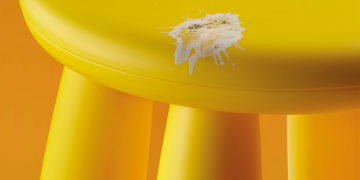 Khi phân chim cũng thành một phần ký ức