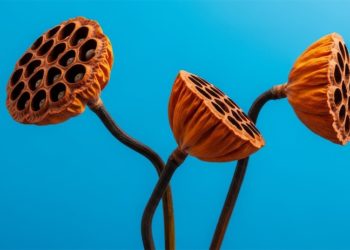 Khi hai người yêu nhau, nhưng tần số khác nhau