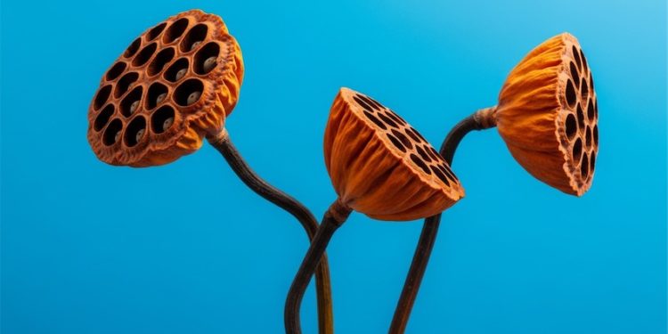 Khi hai người yêu nhau, nhưng tần số khác nhau