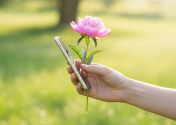 Người nằm trên cỏ với điện thoại úp mặt bên cạnh, tận hưởng không gian yên tĩnh ngoài trời.