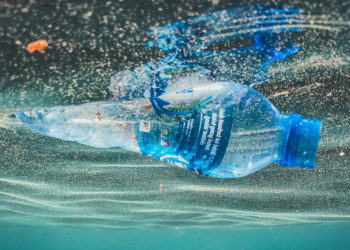 Túi nylon trôi dạt trên biển Việt Nam, phản chiếu nghịch lý giữa xuất khẩu nhựa và ô nhiễm môi trường