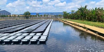 Hệ thống điện mặt trời áp mái 1MWp sau khi xử lý sóng hài, công suất hòa lưới đã phục hồi tối đa như thiết kế.