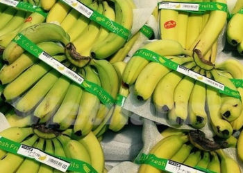 “Cuộc lật đổ” ngọt ngào của chuối Việt: Một câu chuyện kinh tế đáng để bàn!